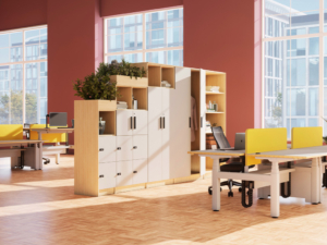 Best Modular Storage Solutions
