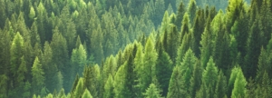 Eco-Friendly-Office-Furniture