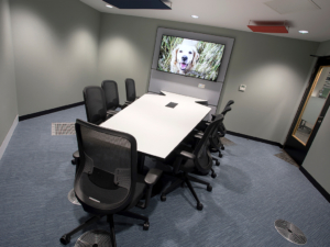 video conference solutions