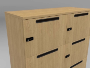 Office-Lockers-Supplier